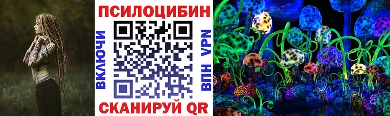 Псилоцибиновые грибы MAGIC MUSHROOMS  закладка  Шали 