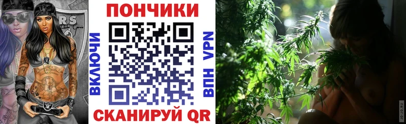 Бошки марихуана ГИДРОПОН  гидра как зайти  Шали 